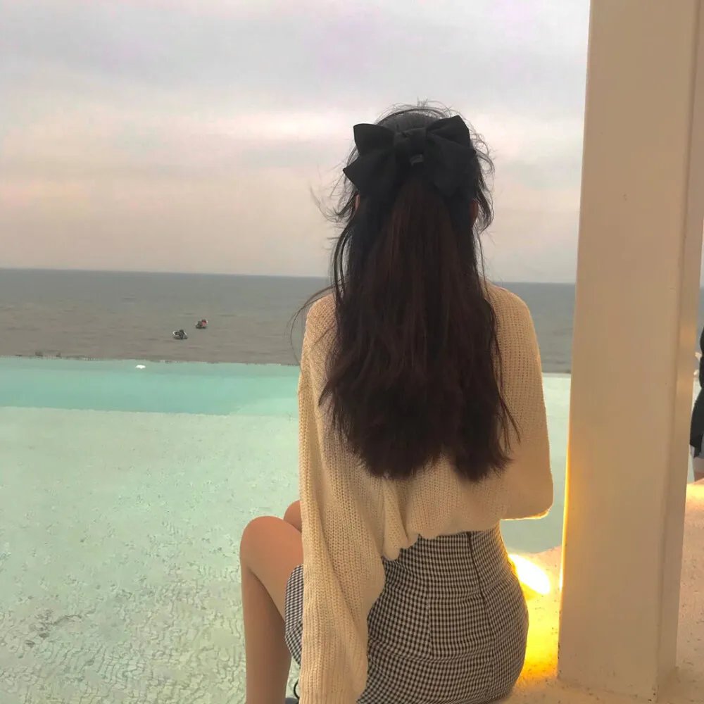 一条狗的使命2海报