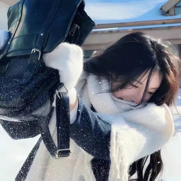 双侠海报